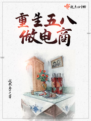 重生五八做电商 帅帅