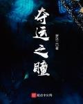 夺运之瞳小说全本下载