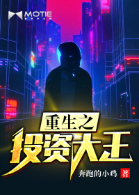 重生之投资之王笔趣阁