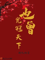 也曾宠冠天下小说全本阅读