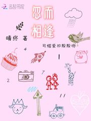 忽然相见