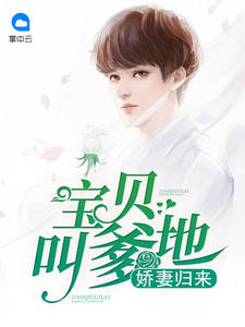 小说女主叫叶宝贝