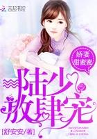 娇妻有毒陆少宠妻如命
