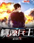 桃源兵王免费全文阅读