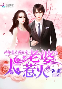 太惹火小说免费阅读完整版