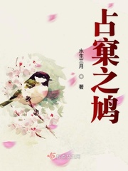 鸠占鹊巢 小说