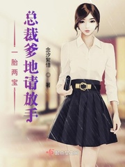 小说一胎两宝总裁爹地宠上天