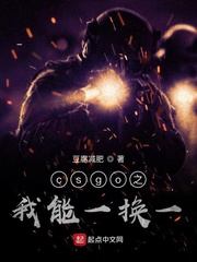CSGO之我能一换一