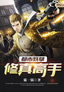 妖孽都市修神 小说