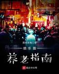 娱乐圈养成