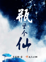 作者瓶瓶小说