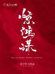 惊鸿小说全文在线试读惊鸿 小说