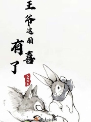 王妃有喜了
