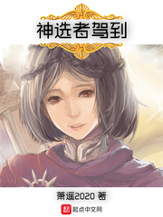 神选计划小说