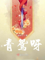女主叫青鸢的小说