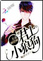 天命神符师全文阅读
