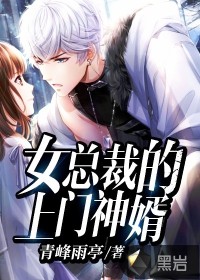 女总裁的上门神婿 寒烟似雪