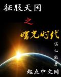 征服天国之曙光时代小说全本免费阅读