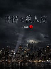 哥谭之疯人院小说全文免费阅读