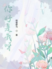 你好你好我是你