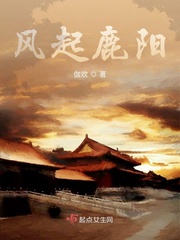 风起鹿阳小说