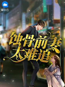 小说女主林辛言男主宗景灏什么书名