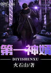 第一神婿小说免费阅读无弹窗