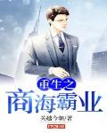 重生之商海霸业小说全本免费阅读