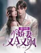 墨少宠妻超级甜小说免费