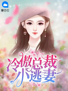 冷傲总裁小逃妻白思思慕辰轩小说免费阅读全文