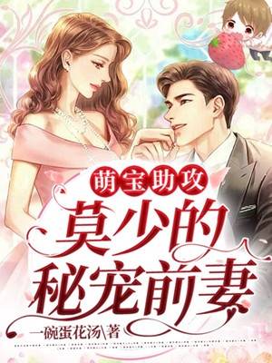沐湲湲和慕霆枭的小说七猫阅读