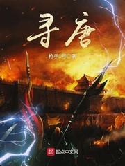 寻唐免费阅读答案