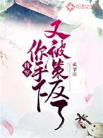 将军你被潜了全文免费