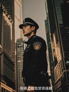 官道之升迁笔趣阁