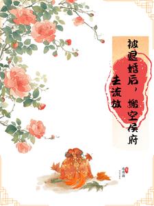 被退婚又被赶出家族的玄幻小说