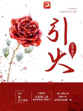 引火小说免费阅读笔趣阁