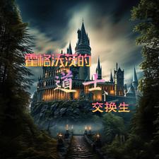 让我去霍格沃茨?免费阅读小说