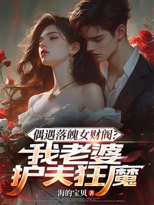 偶遇落魄女财阀?我老婆护夫狂魔小说免费阅读全文