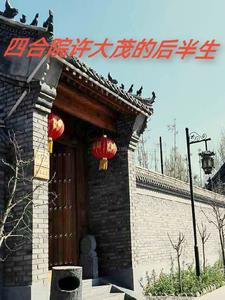 四合院改正归邪的许大茂