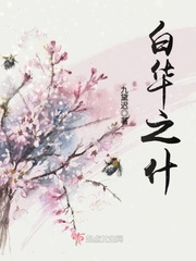 白华为菅小说男主是谁