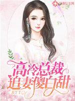 总裁追妻很艰难