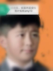 我居然是傻柱作者:落叶知秋zmy13