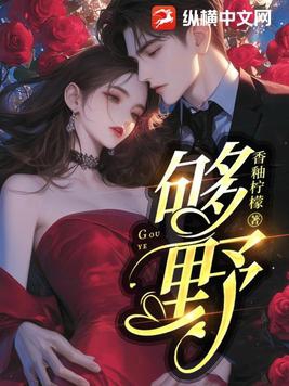 野狗小说不换第一章