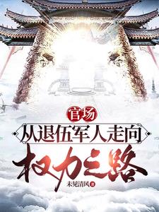 权力巅峰之路小说