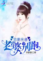 宠妻三百六十度:老婆