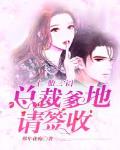 一胎三宝:总裁爹地请签收扬