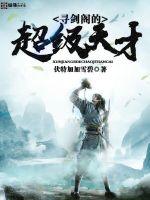 寻剑传说中文版